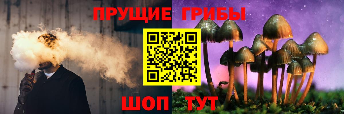 где купить наркоту  Галлюциногенные грибы GOLDEN TEACHER  Вход с VPN  Псилоцибиновые грибы ЛСД  Керчь 